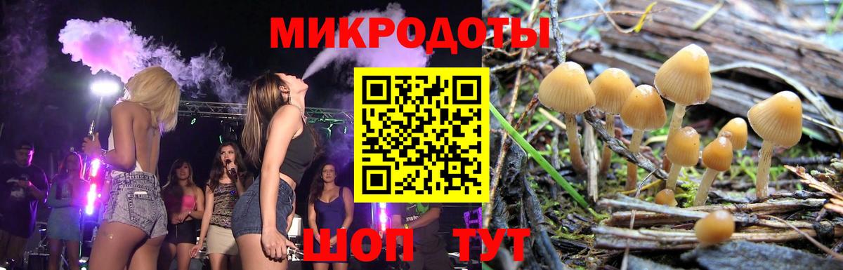 Галлюциногенные грибы мицелий  Галлюциногенные грибы Magic Shrooms  купить наркотики цена  Верхний Уфалей  Вход с VPN 