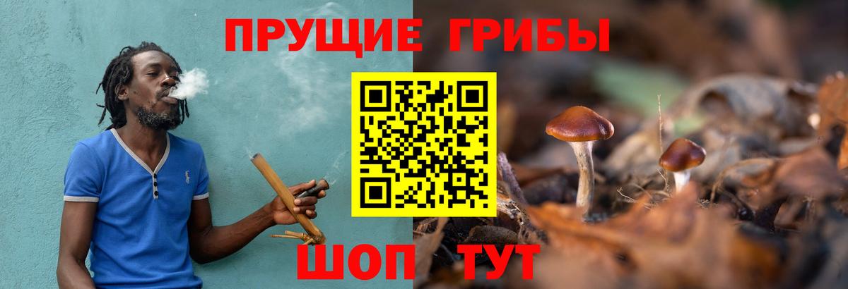 Галлюциногенные грибы MAGIC MUSHROOMS Верхний Уфалей